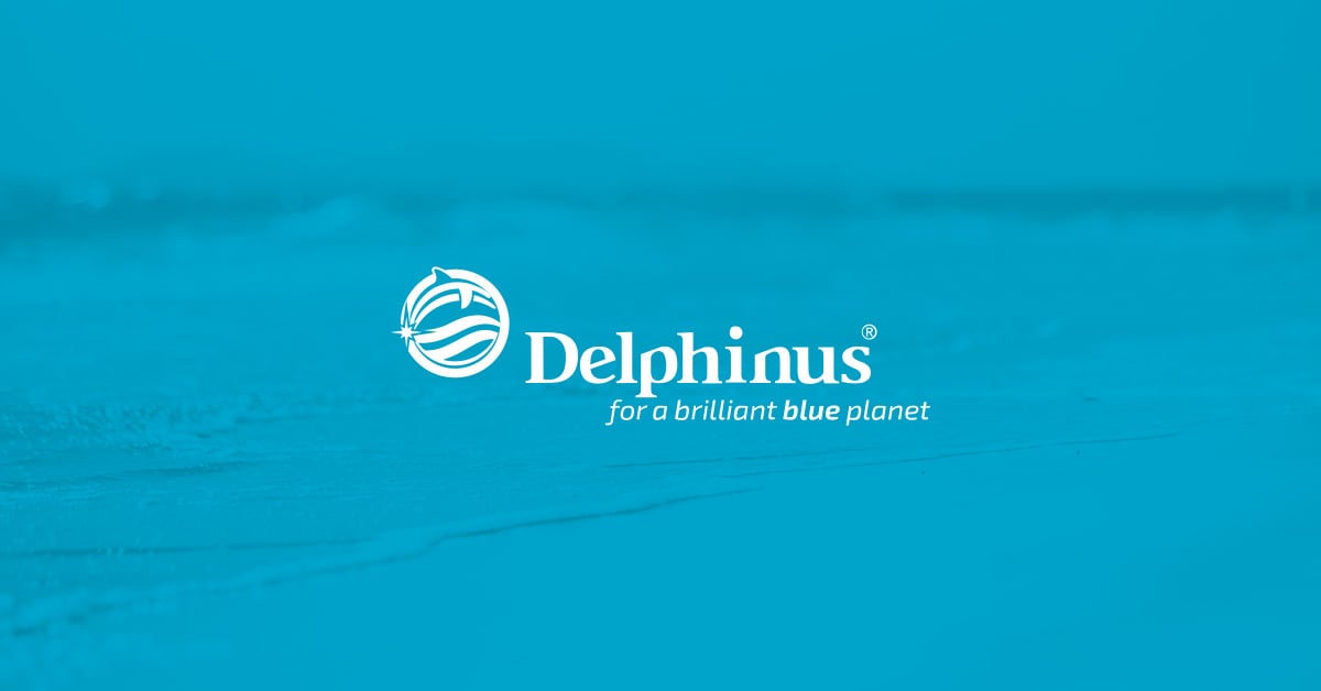 ig_website_client-banner_delphinus-2