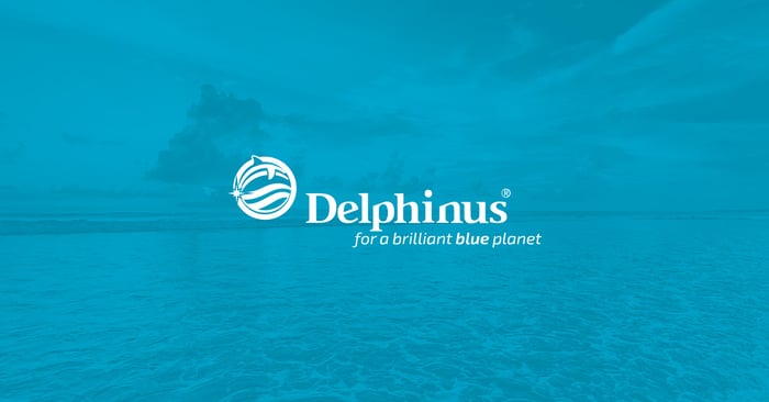 delphinus: caso de éxito web